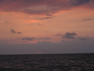 p63.jpg