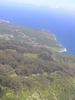 p036.jpg