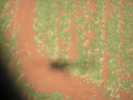 p045.jpg