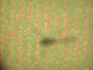 p046.jpg
