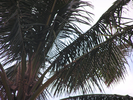 p060.jpg