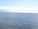 p068.jpg