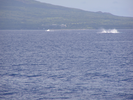 p097.jpg