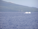 p098.jpg