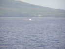 p099.jpg