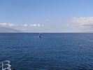 p135.jpg