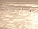 p037.jpg