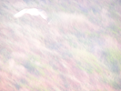 p077.jpg