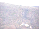 p078.jpg