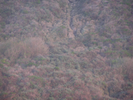 p080.jpg