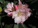 p23.jpg