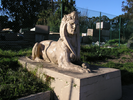 p54.jpg