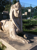 p55.jpg