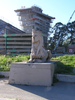 p56.jpg