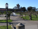 p71.jpg