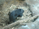 p01.jpg