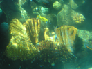 p23.jpg
