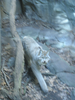 p46.jpg