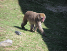 p55.jpg