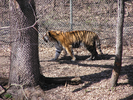 p58.jpg