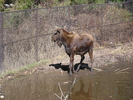 p77.jpg