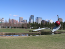 p31.jpg
