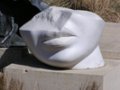 p42.jpg