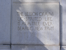 p55.jpg