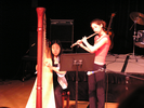 p11.jpg