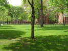 p53.jpg