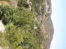 p009.jpg
