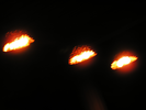 p37.jpg