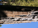 p53.jpg