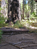 p58.jpg