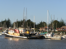 p16.jpg