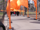 p008.jpg