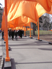 p009.jpg