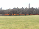 p021.jpg