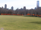 p040.jpg