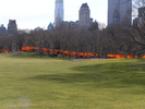 p041.jpg