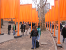 p115.jpg
