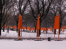 p13.jpg