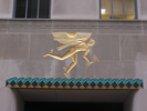 p46.jpg