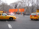 p015.jpg