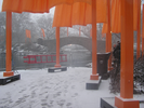 p069.jpg