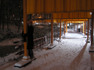 p112.jpg