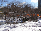 p003.jpg