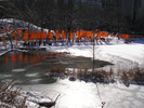 p005.jpg