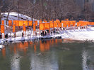 p008.jpg