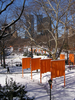 p015.jpg